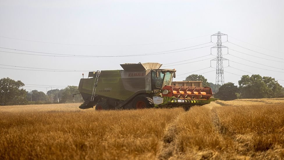 UK farming's 'net zero' climate target in doubt