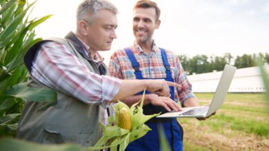 Ensure that contract farming encompasses a price guarantee.